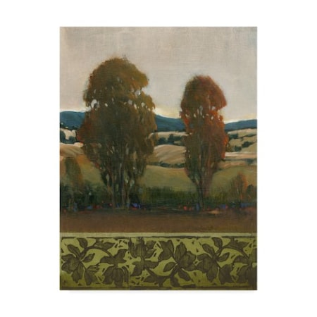 Tim Otoole 'Peaceful Valley Ii' Canvas Art,35x47